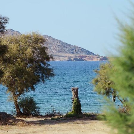 Seaside Paros - Naousa ภายนอก รูปภาพ